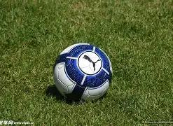 刘涛谈综艺,压力,一度萌生退,米乐体育平台,米乐体育官方网站,米乐体育登录入口,米乐体育app下载