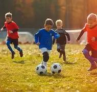 日星途,上市,预售价,米乐体育平台,米乐体育官方网站,米乐体育登录入口,米乐体育app下载