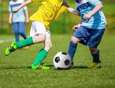 日星途,上市,预售价,米乐体育平台,米乐体育官方网站,米乐体育登录入口,米乐体育app下载