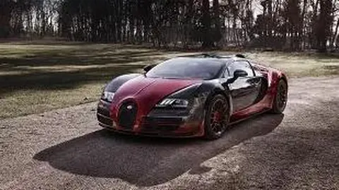 米乐体育 资讯 113131 dw8