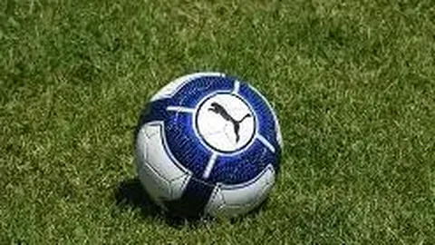 米乐体育 资讯 113928 15q