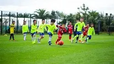 “马龙助力男团夺冠 “速度之王”苏炳添告别赛场”