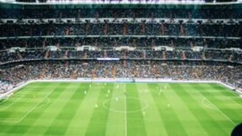 米乐体育 资讯 094338 8ue