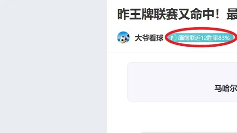 2024-25賽季國米球員薪資全解析