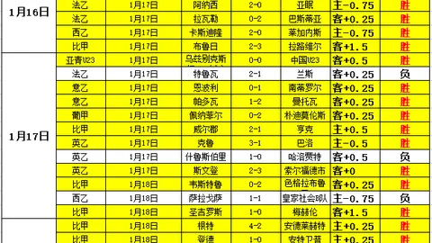 主场观感引发热议：蓝军球迷盼球员多跑动，希望提升观赛氛围